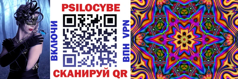 Галлюциногенные грибы мухоморы  MEGA сайт  Олонец  дарнет шоп 