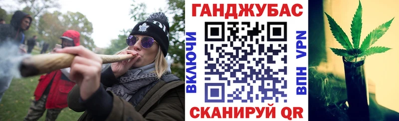Канабис сатива  Олонец 